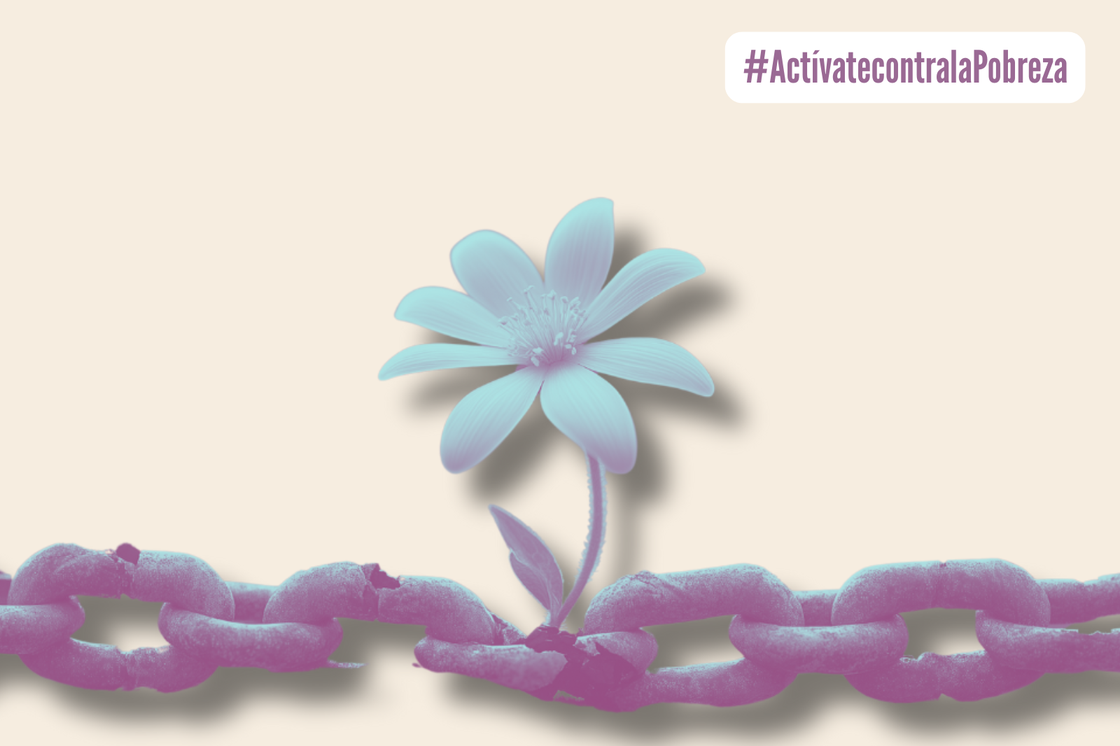 Día Internacional para la Eliminación de la violencia contra las mujeres