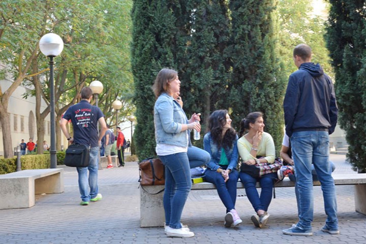 A healthy bowl of food.