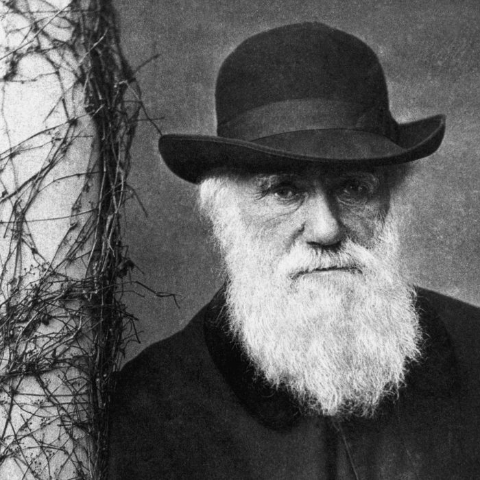 Día de Darwin 2025