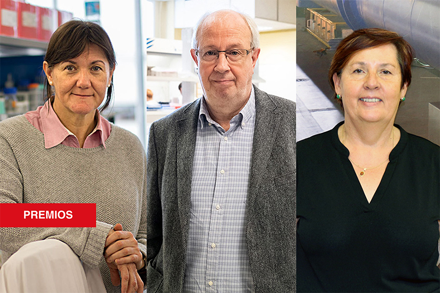 Isabel Fariñas, Ramón Martínez-Máñez y Carmen García, Premios Nacionales de Investigación 2024