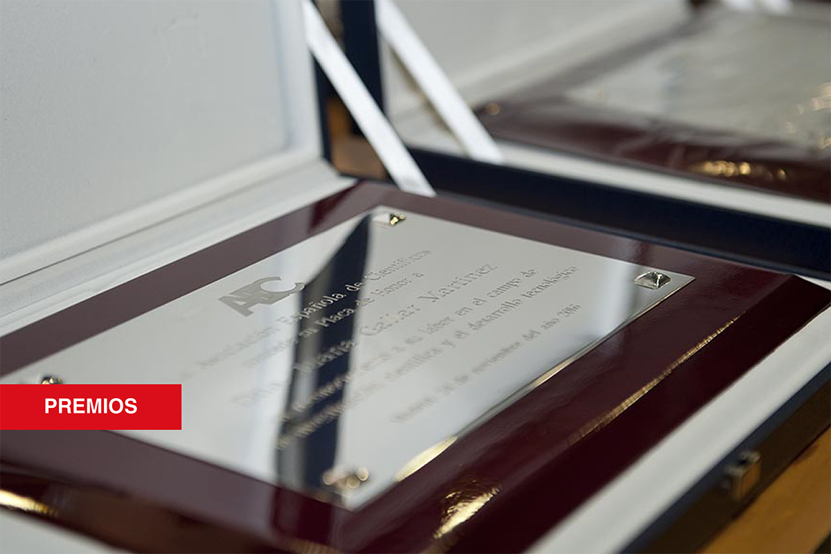 La AEC concede su Placa de Honor 2025 a los Premis Sapiència