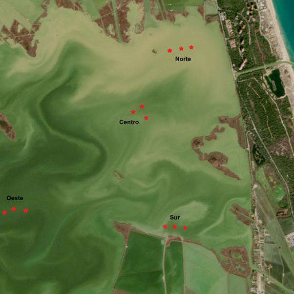 La DANA provocó en un día el volumen de sedimentación habitual de 30 años en la Albufera