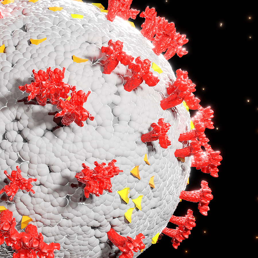 Avance clave sobre la proteína N de los coronavirus