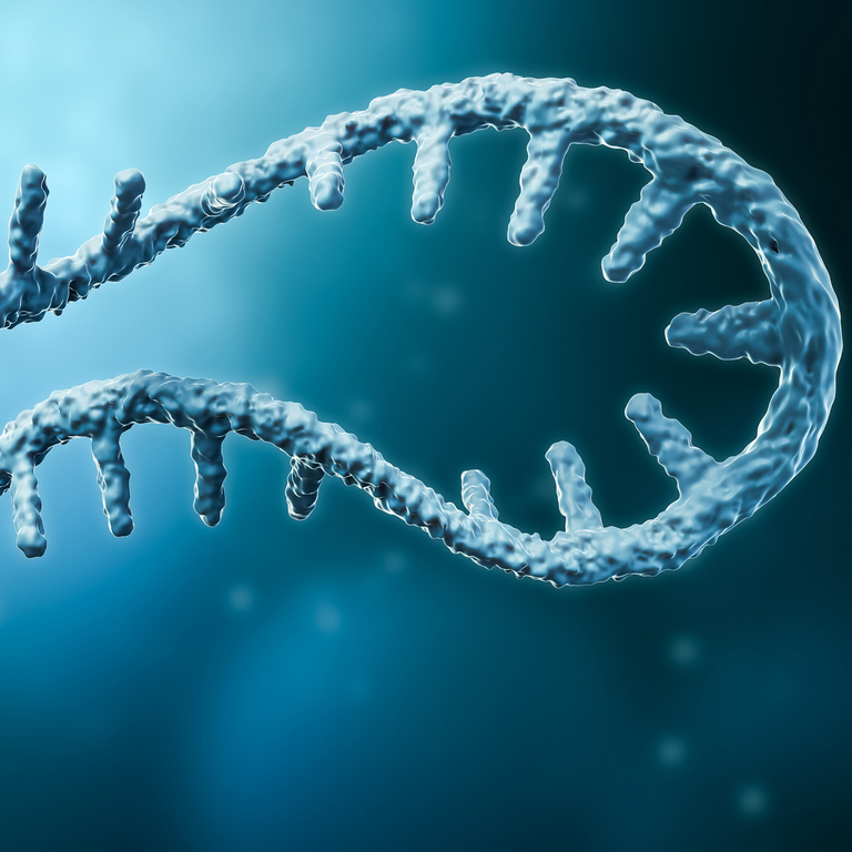 Determinan los factores que permiten mutar a un virus humano de ARN y facilitan su contagio