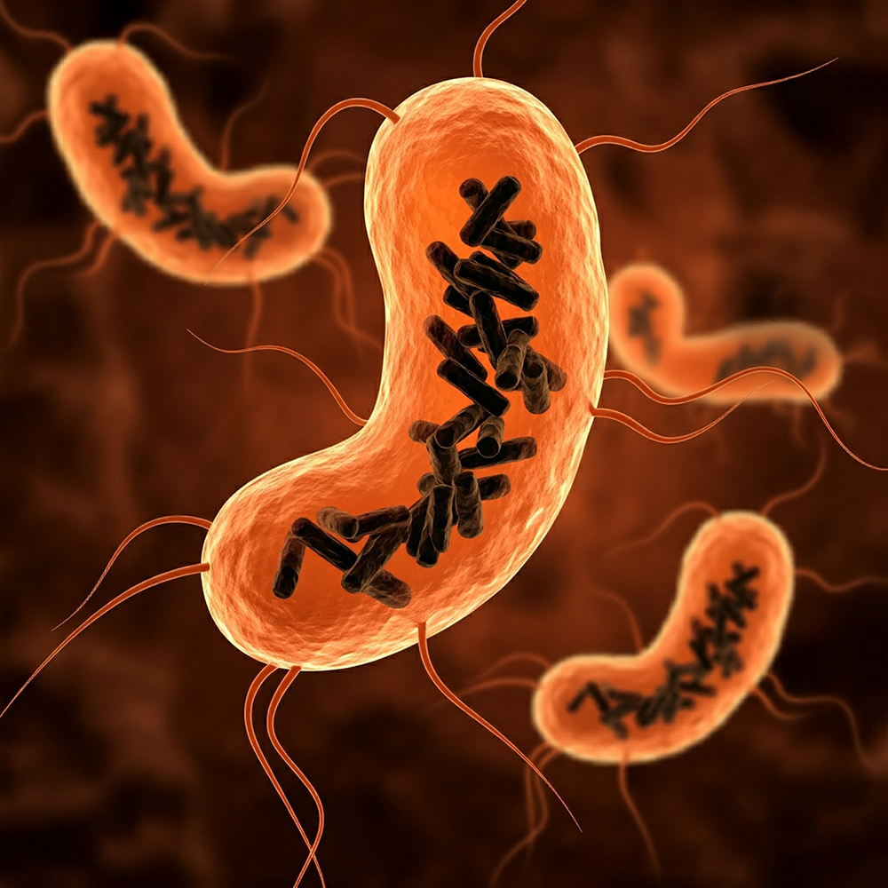 Descubren una nueva entidad biológica que habita en el cuerpo humano