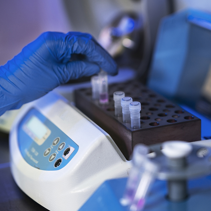 Nanociencia y fotoquímica para mejorar la reparación de daños en el ADN