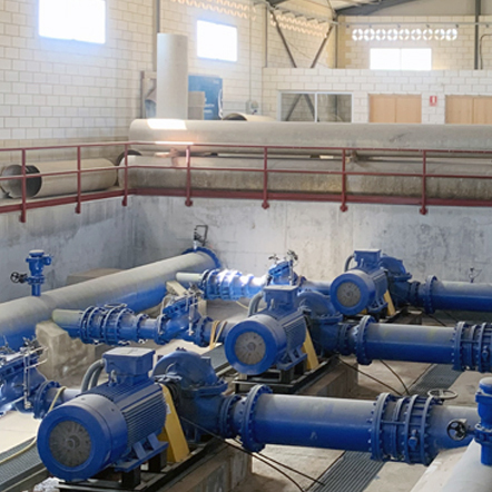 Desarrollan una solución para prevenir la formación de biofilms en sistemas de conducción de agua