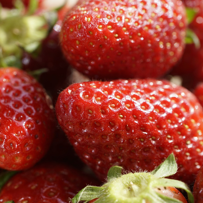 Un estudio subraya la importancia de controlar la seguridad alimentaria de frutas y verduras orgánicas
