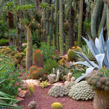 Jardín Artístico Huerto del Cura