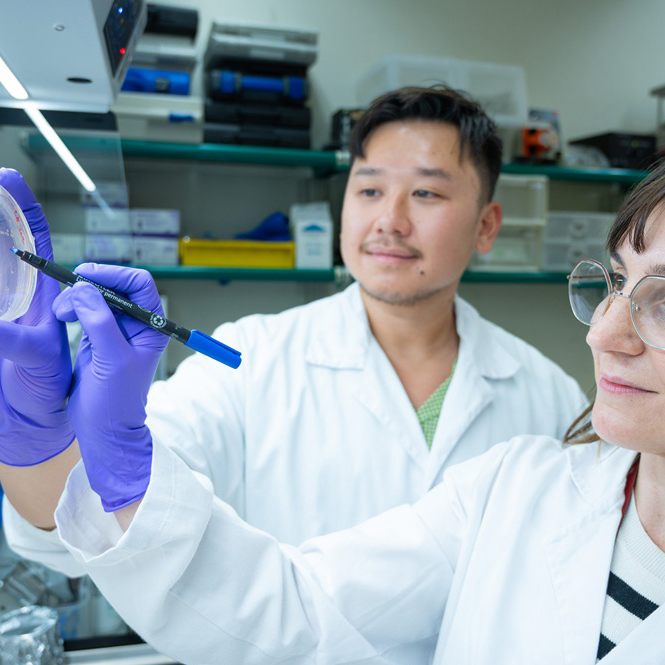 Los investigadores que contrastan más sus ideas y resultados logran un mayor impacto científico