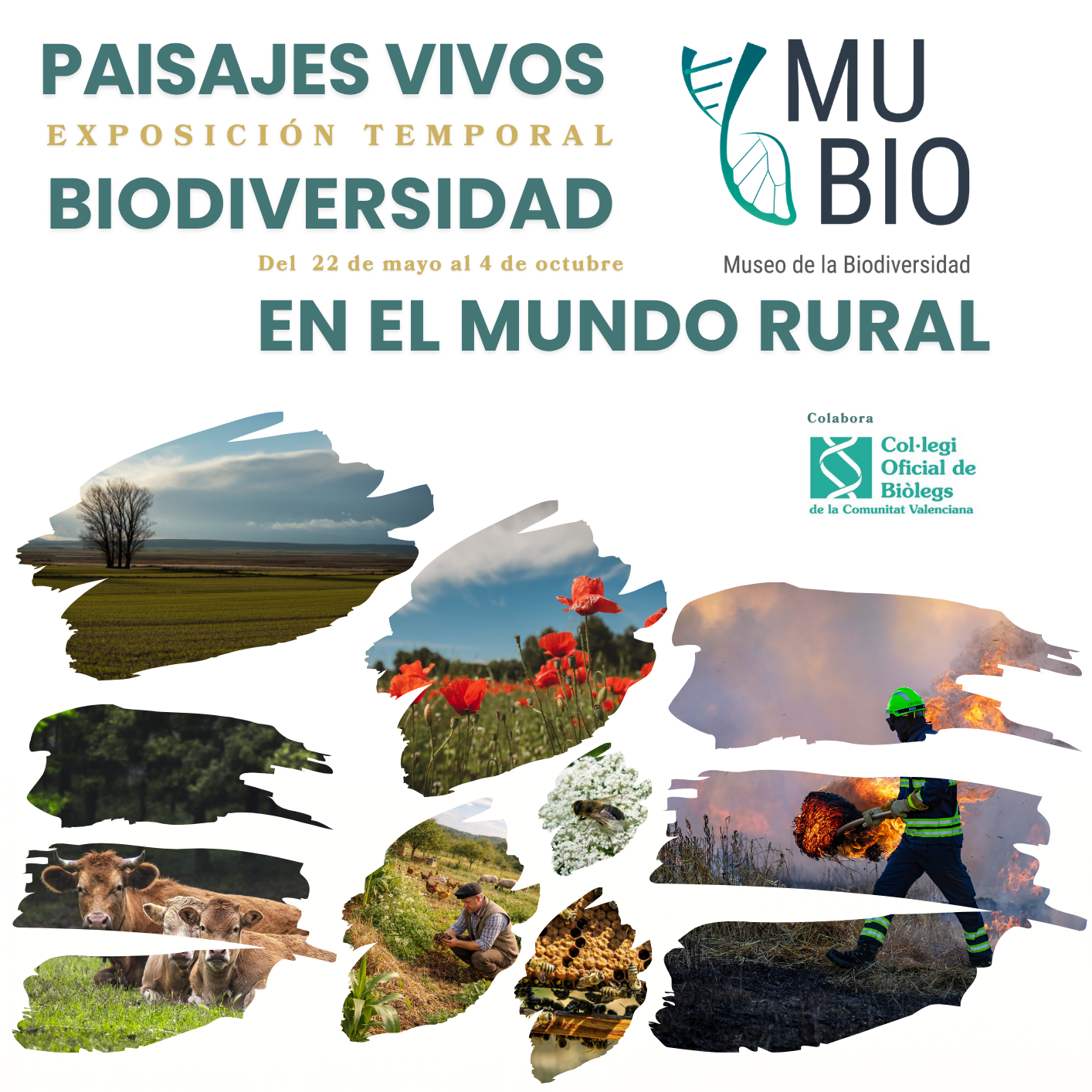 Paisajes vivos. Biodiversidad en el mundo rural