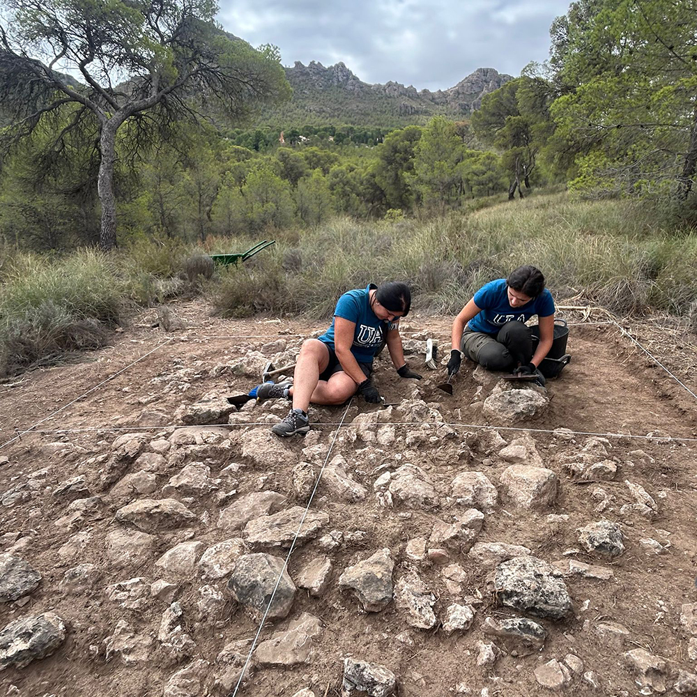 Nuevos hallazgos en la necrópolis del Collado y Pinar de Santa Ana relacionados con el tartésico