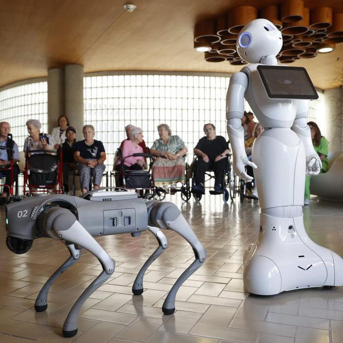 Crean un perro robot para estimular la actividad física de personas mayores