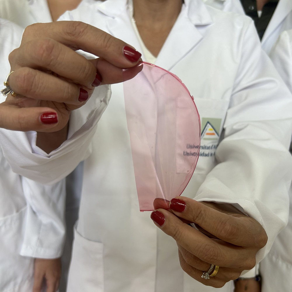 Desarrollan un biosensor capaz de indicar si un alimento fresco está en buen estado para su consumo