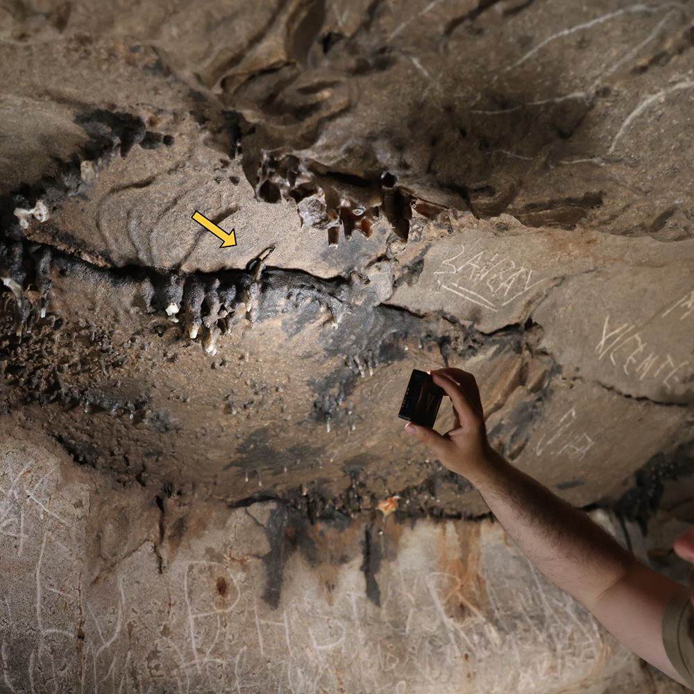 Descubren un santuario romano en la Cova de les Dones, uno de los mayores yacimientos de arte rupestre de la península ibérica