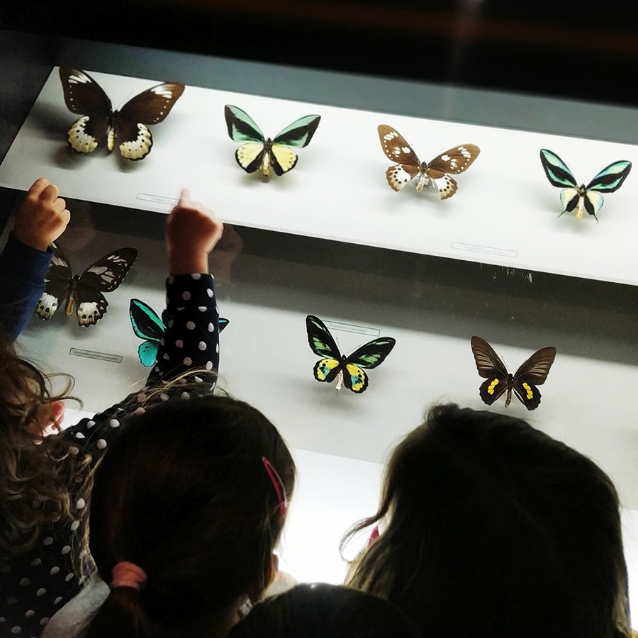Estaciones Científicas de la UA y Museo de la Biodiversidad