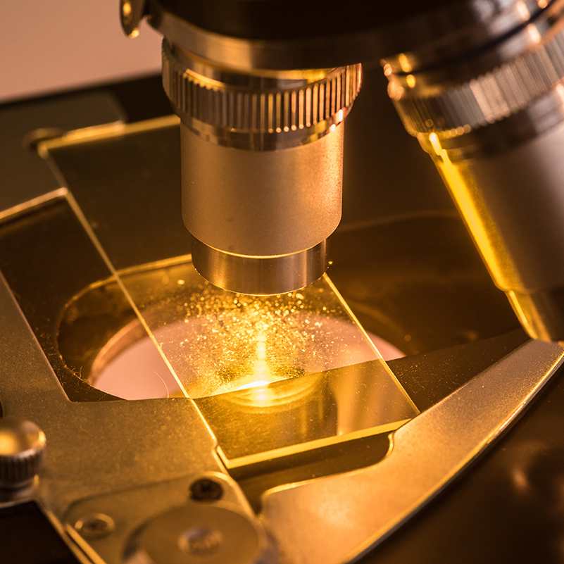 Desarrollan un portamuestras que multiplica por 20 la eficiencia de los microscopios de efecto túnel