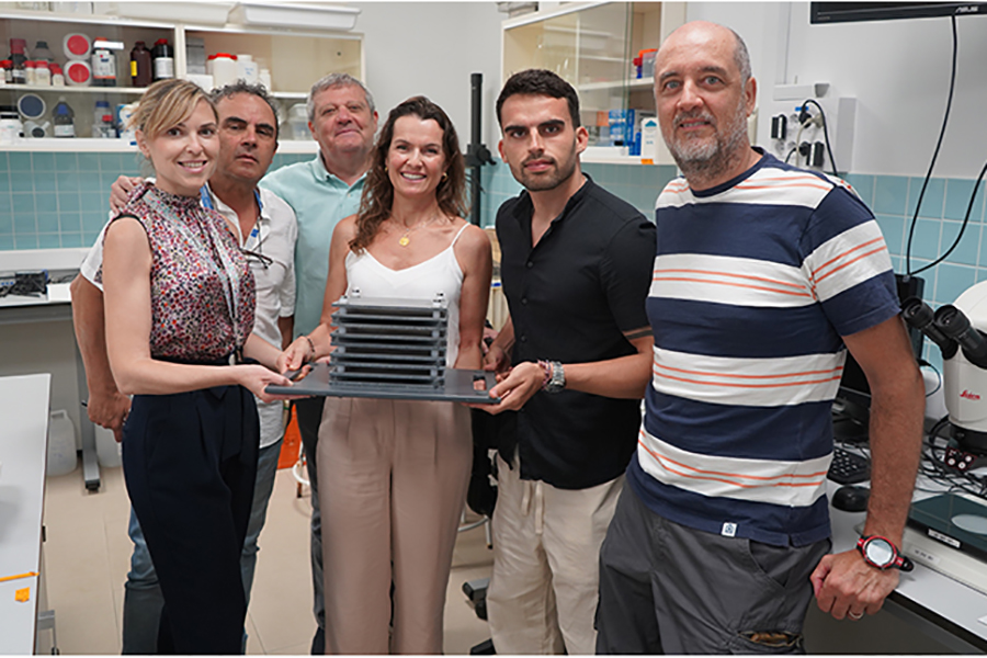 La UCV inicia una investigación sobre las especies afectadas por el aumento de las temperaturas del Mediterráneo