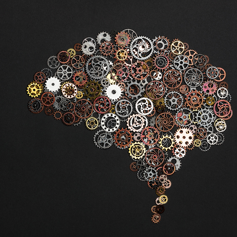 El cerebro usa los límites de un contexto para guiar la toma de decisiones tanto en entornos espaciales como abstractos