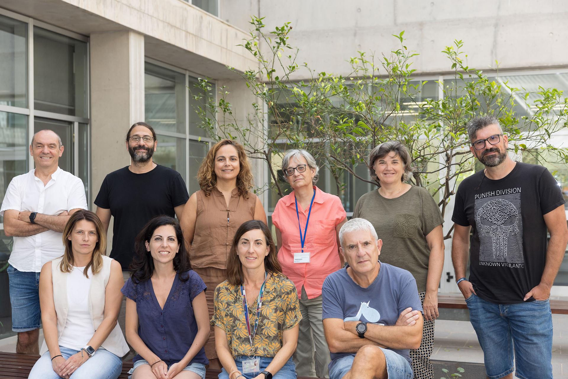 En busca de materiales más eficientes para energía y catalizadores capaces de imitar a las enzimas