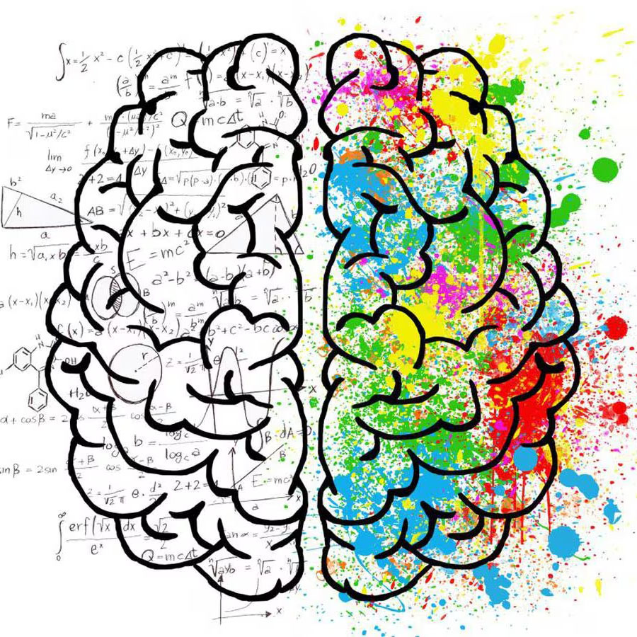 El cerebro reubica sus funciones dependiendo del hemisferio que use el lenguaje en los zurdos