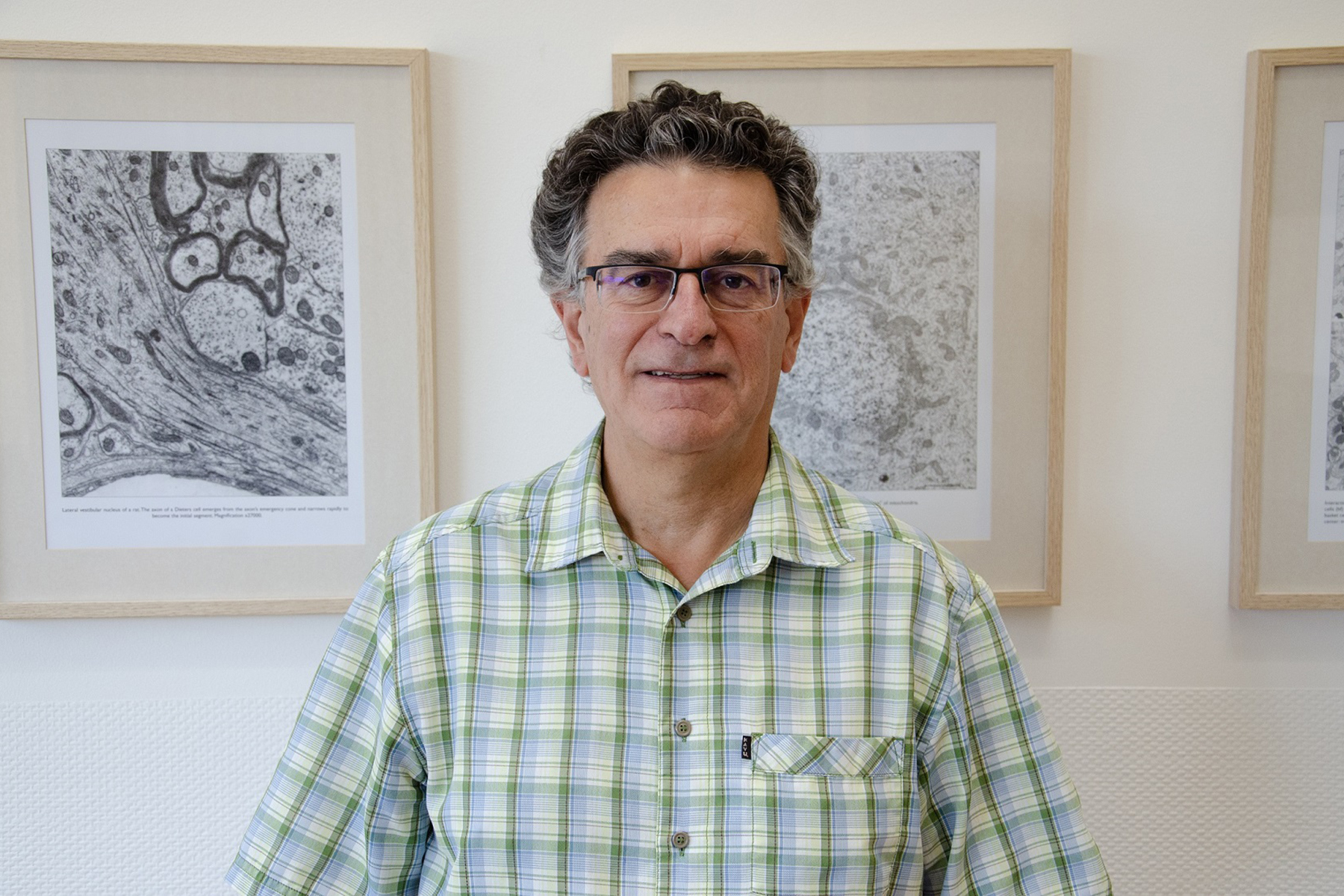 Félix Viana coordina un proyecto internacional para estudiar las bases moleculares de la percepción del frío