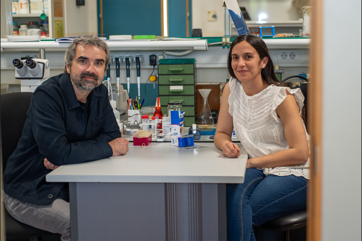 El Instituto de Neurociencias UMH-CSIC participa en una investigación puntera sobre el síndrome de ovario poliquístico financiada por La Marató de Cat3