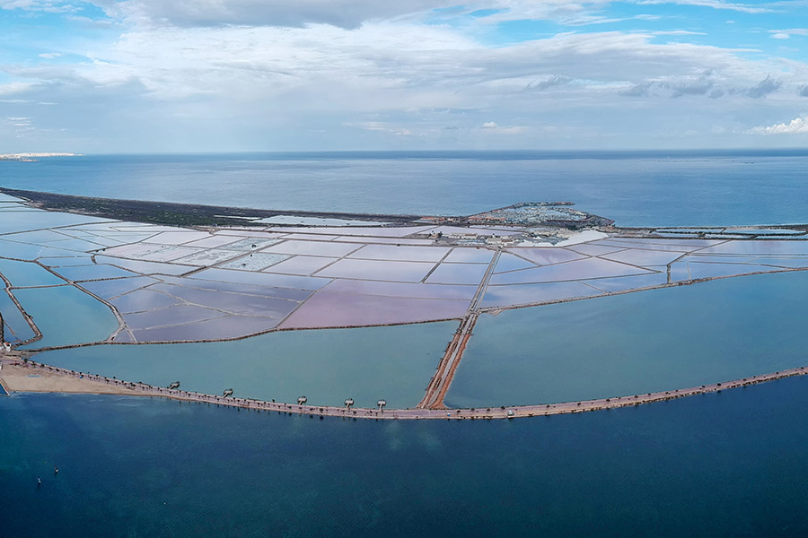 Zoosimbiosis para la recuperación ecológica del Mar Menor