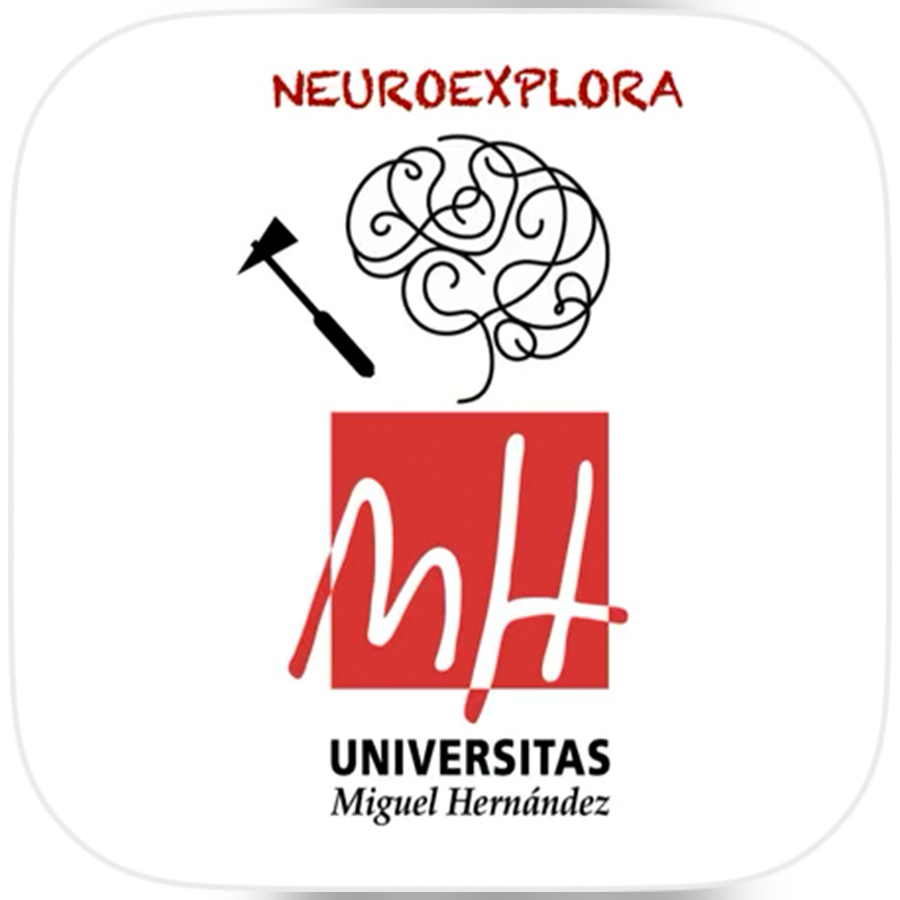 Desarrollan una aplicación móvil con vídeos sobre los principales aspectos de la exploración neurológica