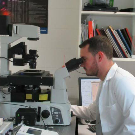 Hawk Biosystems, seleccionada para recibir apoyo del vehículo europeo EIC Accelerator