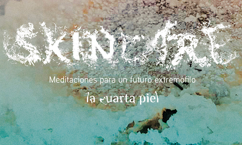 Skincare: Meditación, skincare y alianzas interespecie