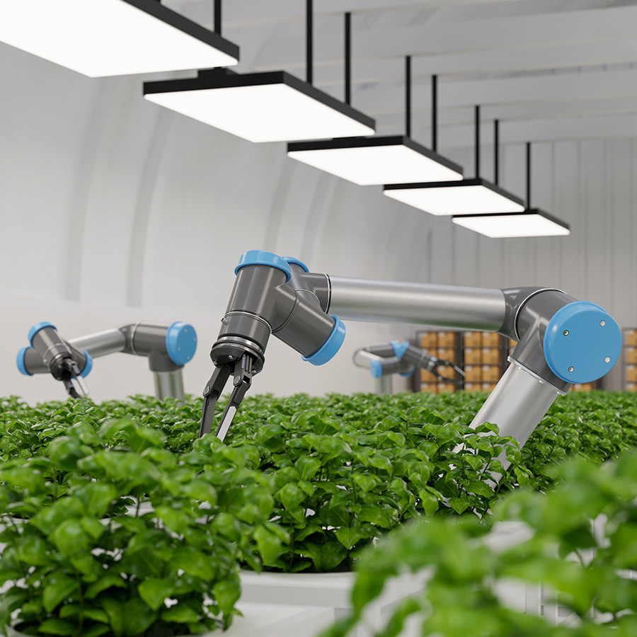 Telenatura EBT participa en un proyecto de innovación dirigido al desarrollo de una estación robótica para el sector hortofrutícola
