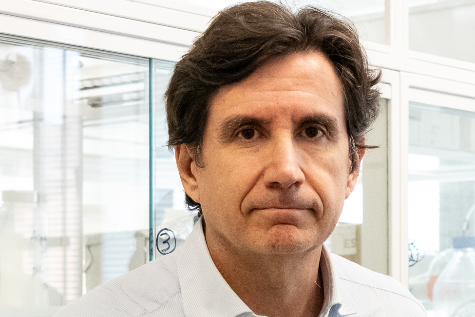 El i3M (UPV-CSIC) participa en la creación de un nuevo sensor de rayos X capaz de diagnosticar por imagen enfermedades pulmonares