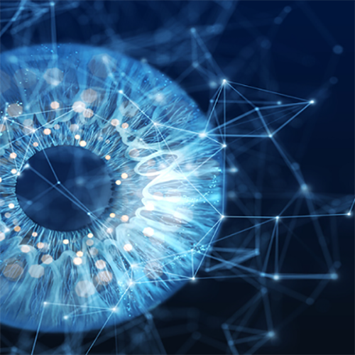 Desarrollan una plataforma de inteligencia artificial que reducirá el gasto farmacéutico en enfermedades de la mácula