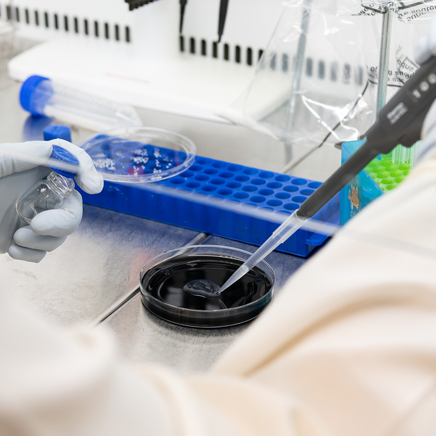 Crean un «nanokiller» inteligente contra bacterias y otros patógenos