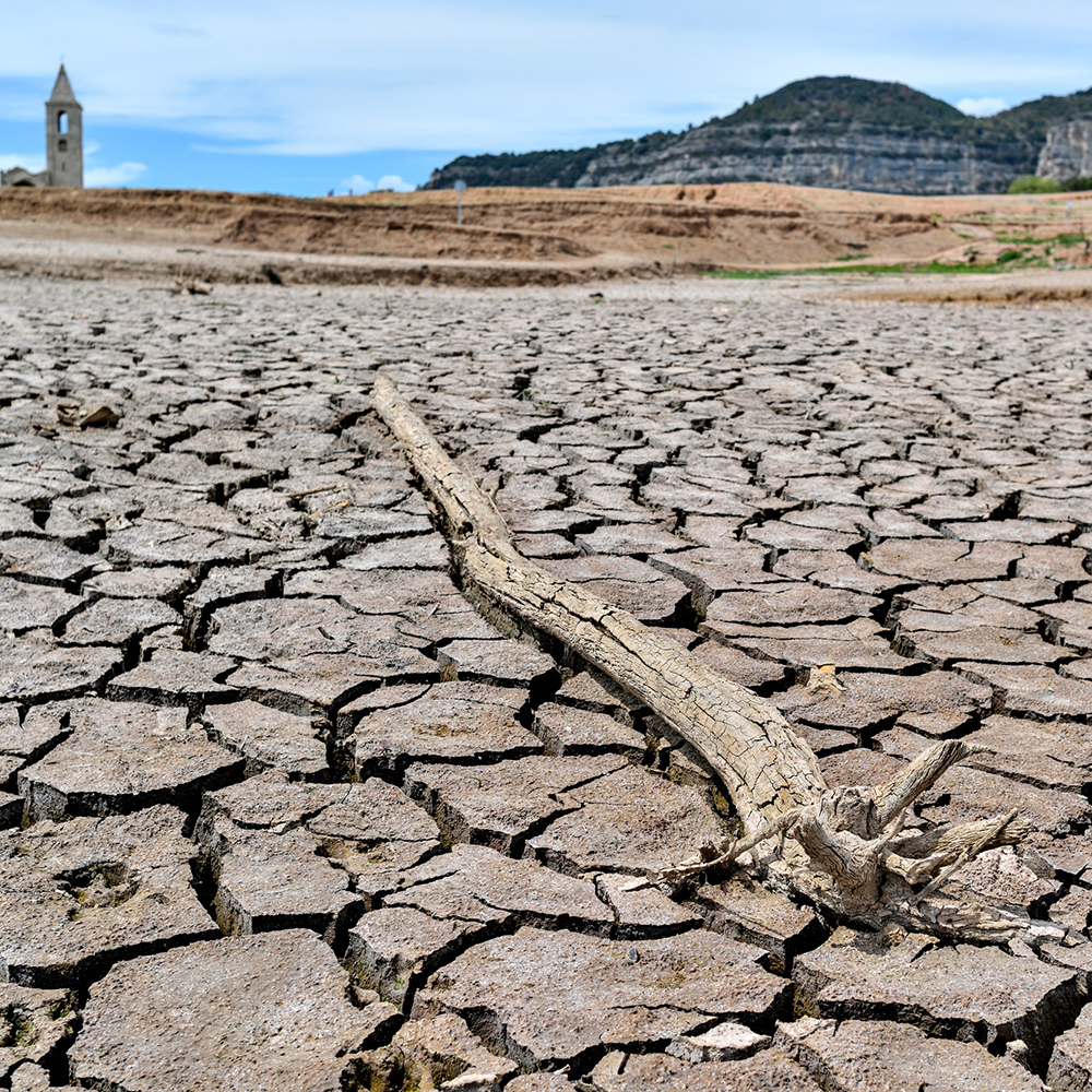 El cambio climático reducirá el rendimiento de los cultivos, encarecerá las materias primas y provocará la pérdida de hábitat