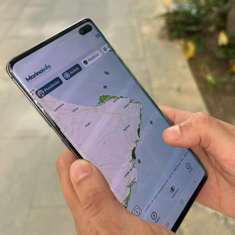 MarinaInfo, nueva app que ofrece información marina y facilita el aviso de malas prácticas en el mar