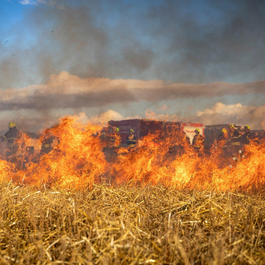 La combinación de un clima extremo y vegetación lista para arder intensificó los incendios récord de 2025 en España