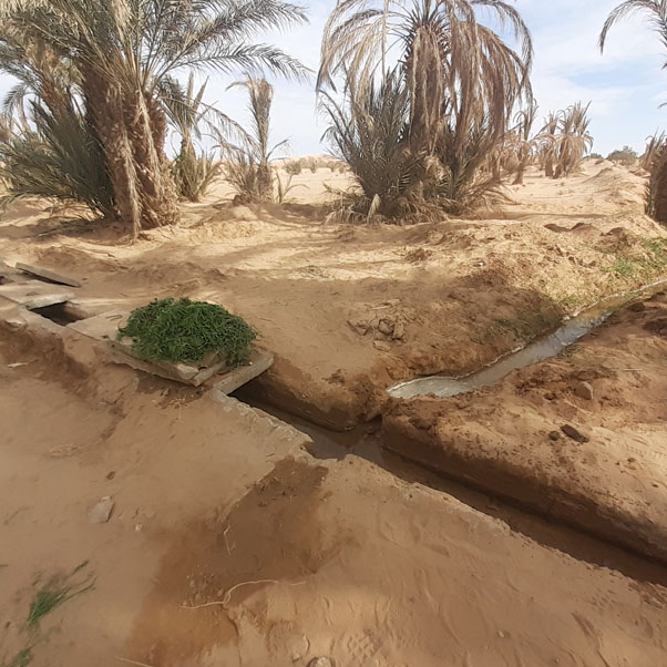 Estudian la relación entre migración y cambio climático