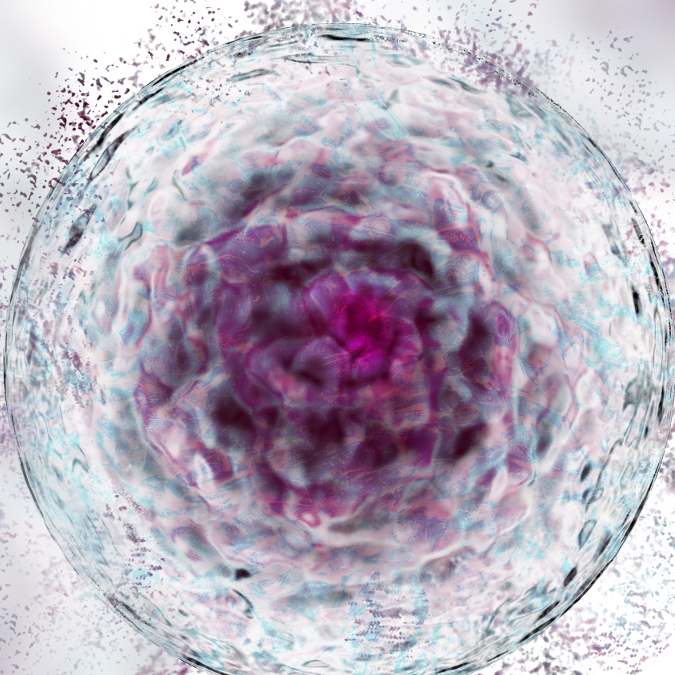 Una nueva sonda permite detectar de forma sencilla y no invasiva el ritmo del envejecimiento