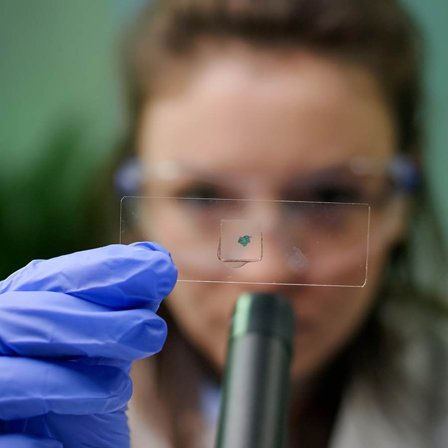 Un nuevo material conductor abre la puerta a biosensores más precisos y dispositivos electrónicos más eficientes